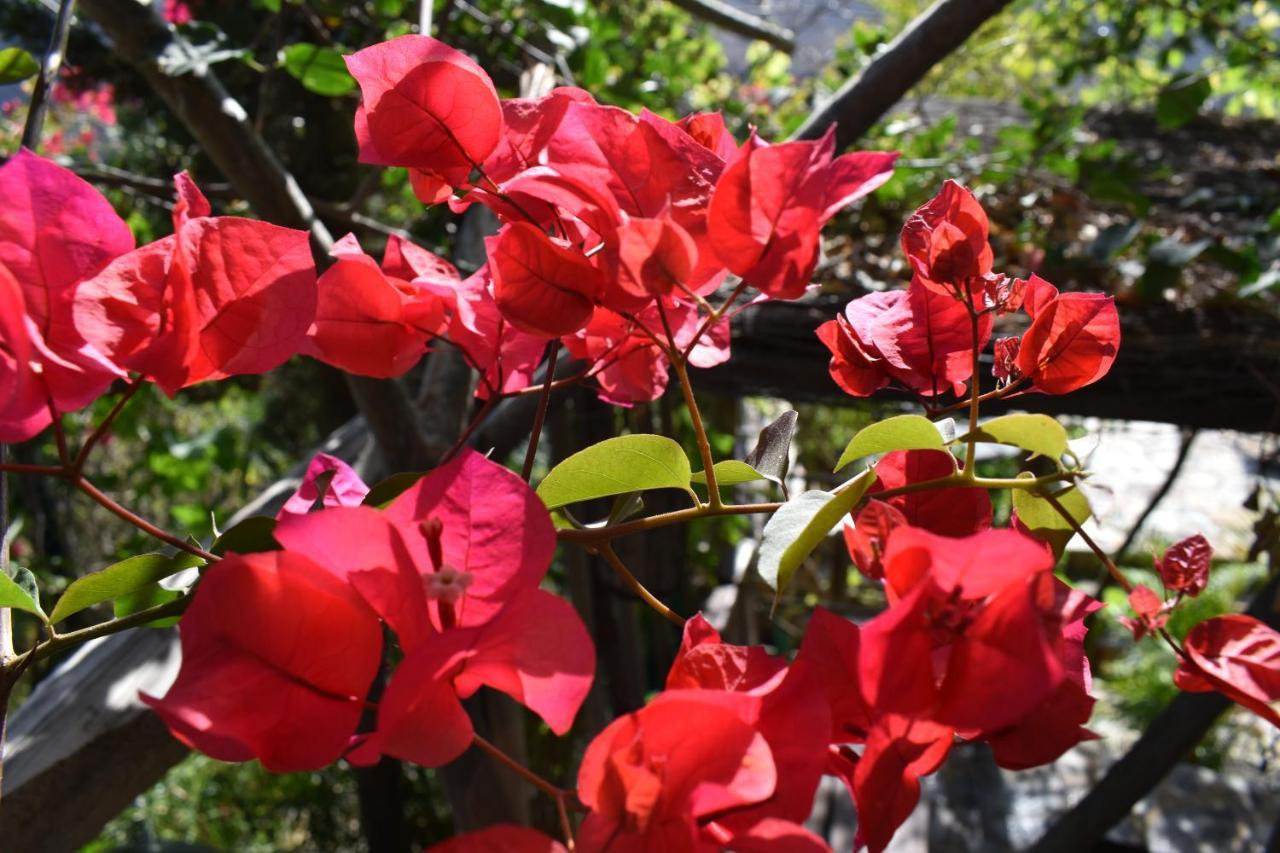 Romantica ซานบาร์โตโลเม ภายนอก รูปภาพ